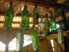 enig_bottles